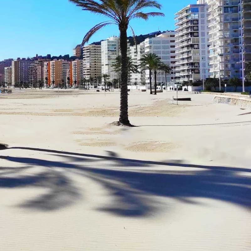 Appartements à Cullera sur la pla
