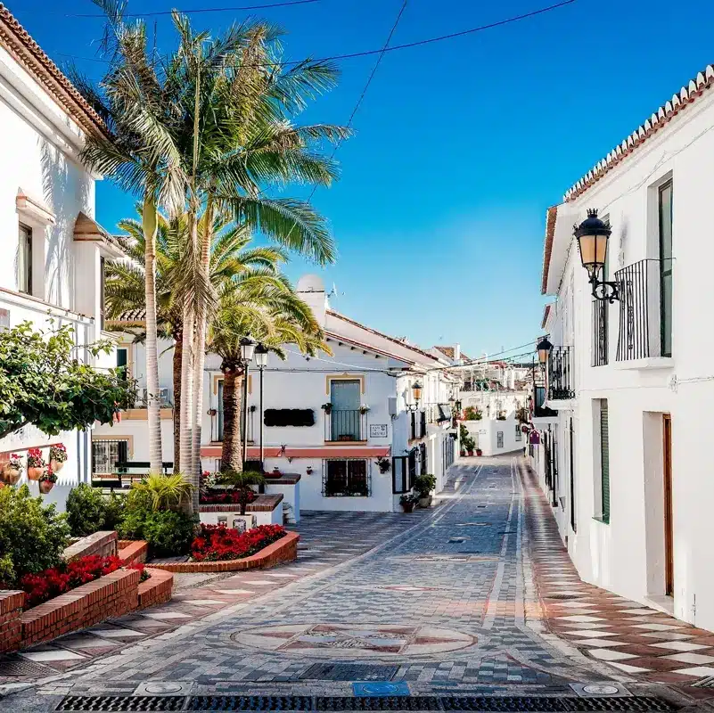 Ruelle de Benalmadena Ruelle pittoresque de Benalmadena avec des maisons blanchies à la chaux, des palmiers et des fleurs colorées