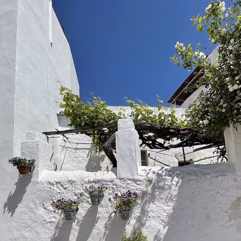 Cour traditionnelle à Nerja Cour traditionnelle à Nerja avec murs blanchis à la chaux, pots de fleurs et une vigne ombrageant l’espace