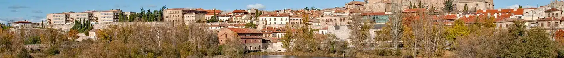 Panorama de la vieille ville de Zamora en automne avec vue sur la rivière Duero