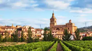 Église historique et champs de vignes dans La Rioja en Espagne