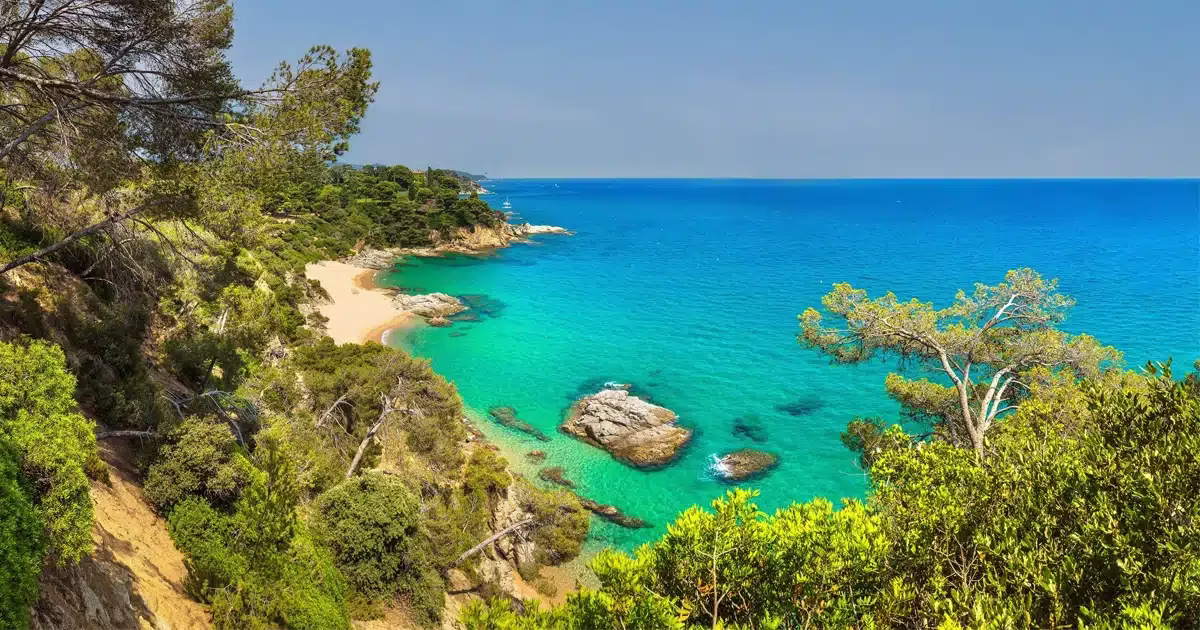 Belle plage espagnole avec une mer cristalline, un rivage sableux et des pins denses sur les falaises.